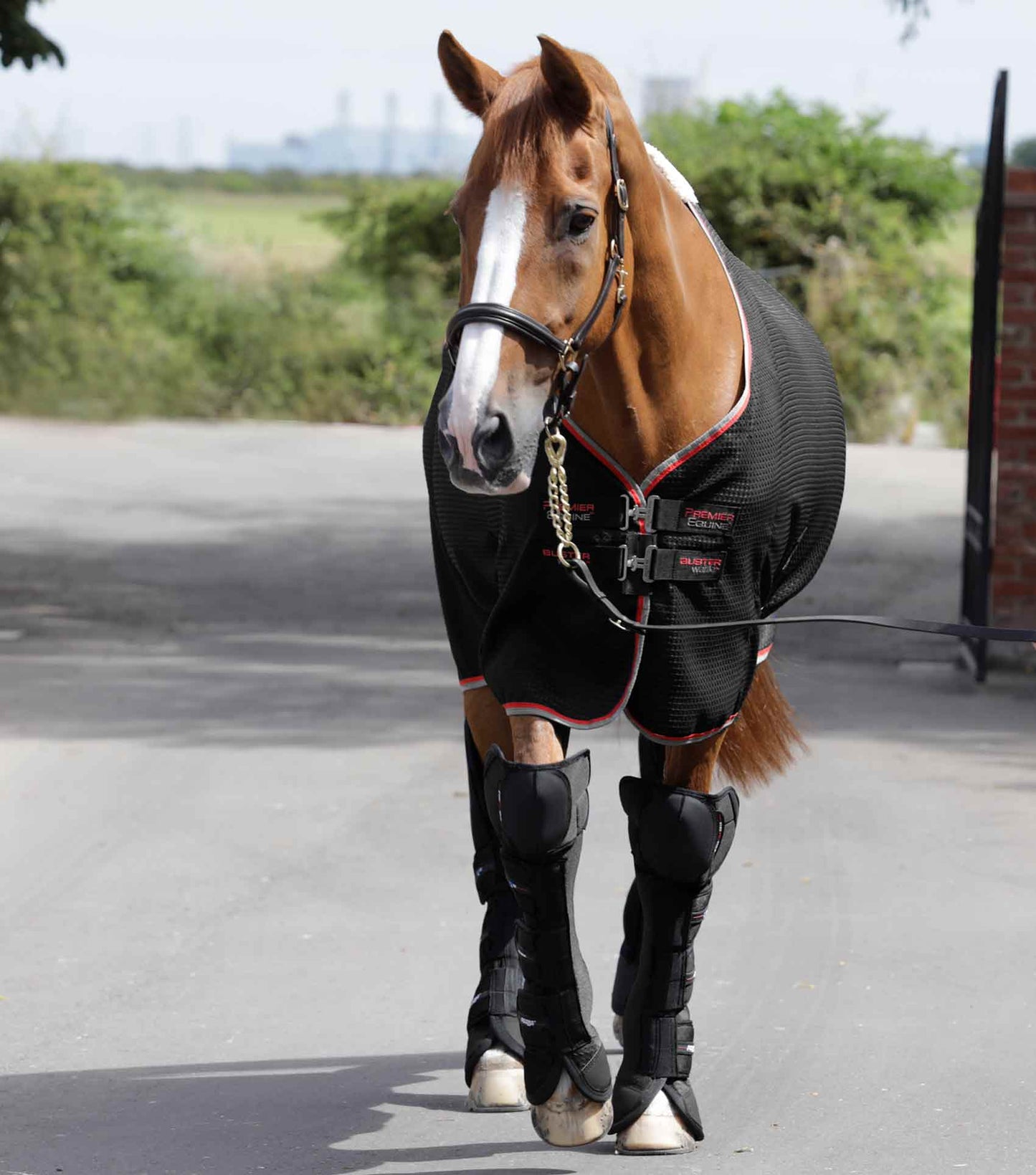 Premier Equine Air-Technology Knee Pro-Tech Horse Travel Boots