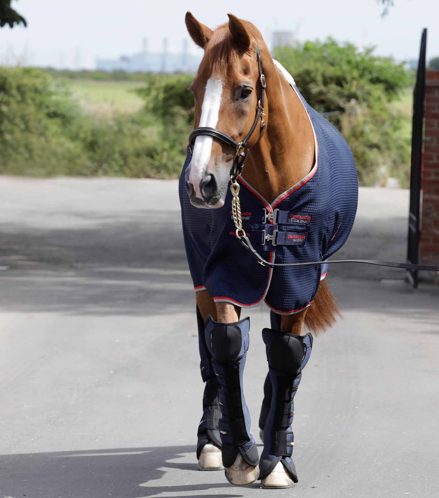 Premier Equine Air-Technology Knee Pro-Tech Horse Travel Boots