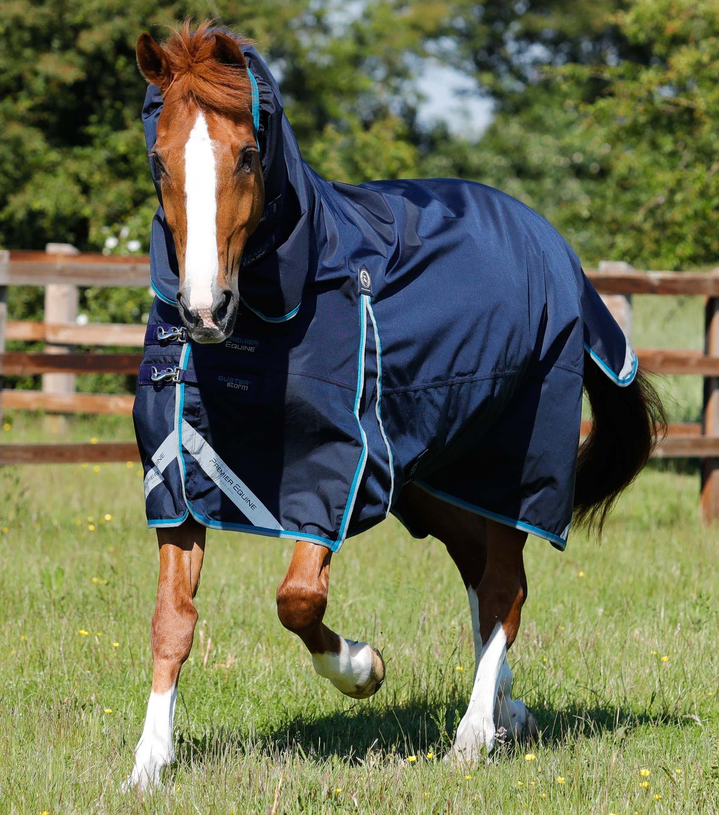 Premier Equine Buster Storm 100g Combo Turnout Rug with Snug-Fit Neck