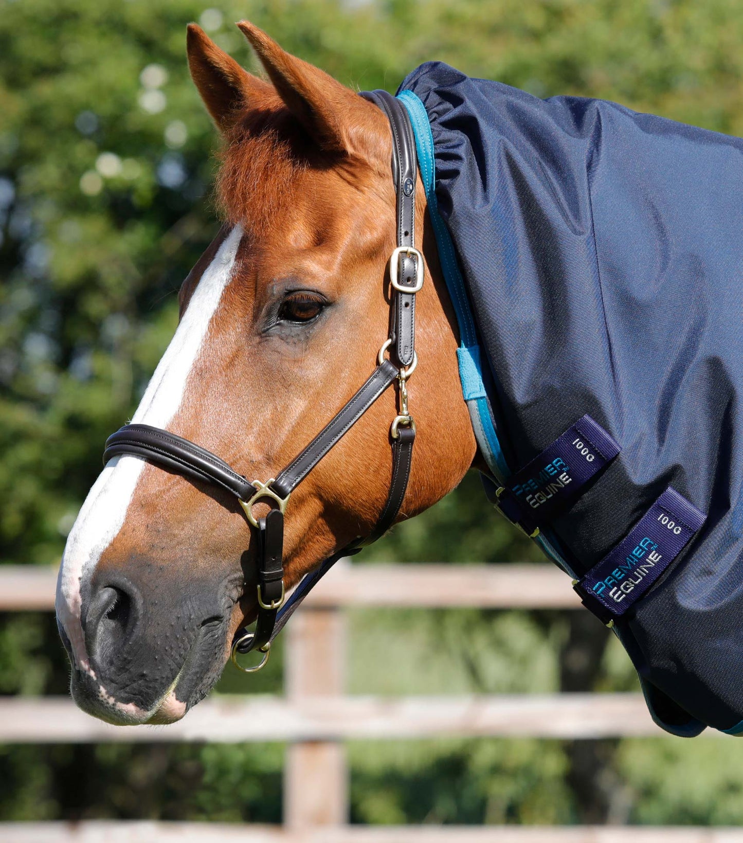 Premier Equine Buster Storm 100g Combo Turnout Rug with Snug-Fit Neck