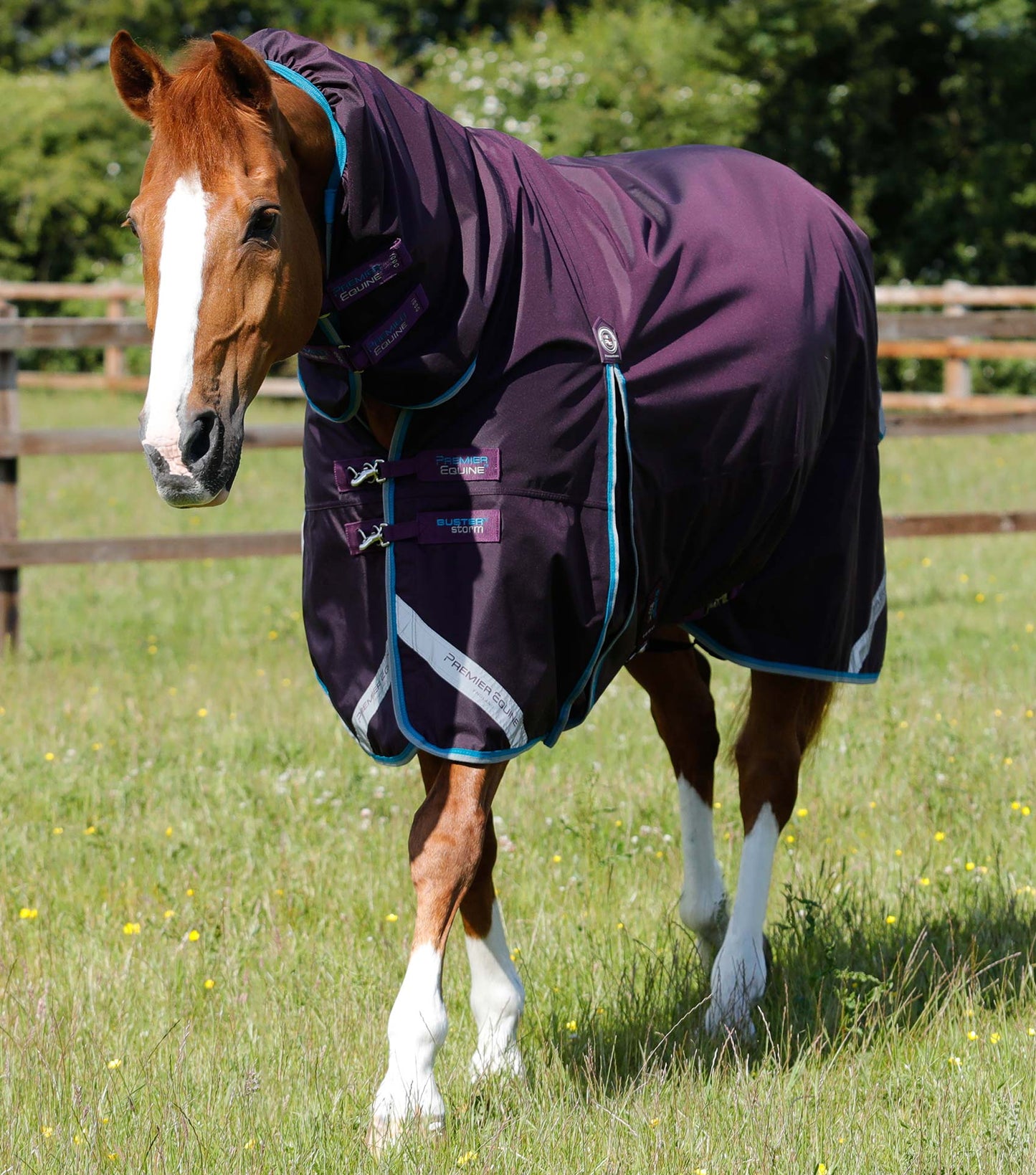 Premier Equine Buster Storm 100g Combo Turnout Rug with Snug-Fit Neck