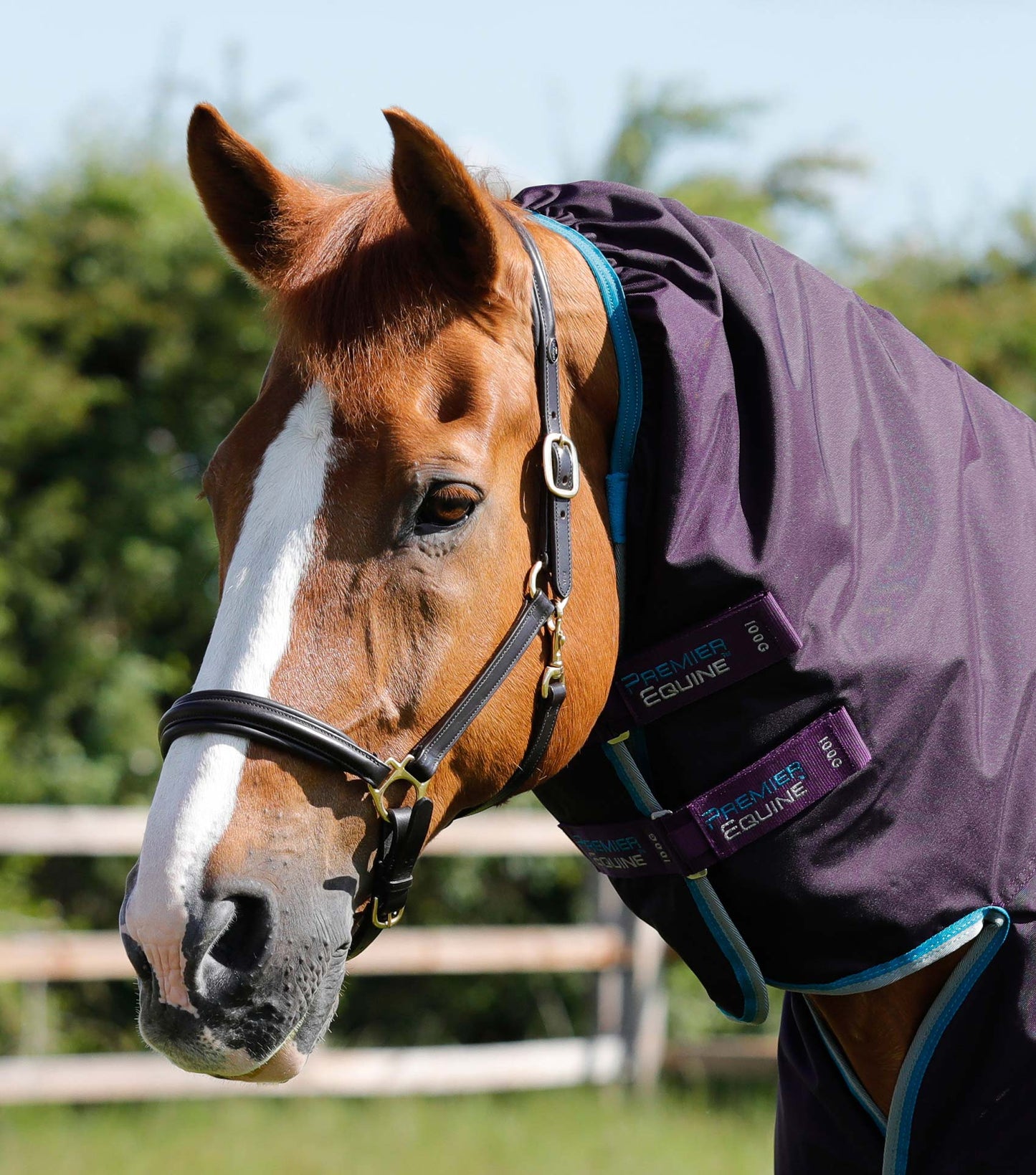 Premier Equine Buster Storm 100g Combo Turnout Rug with Snug-Fit Neck