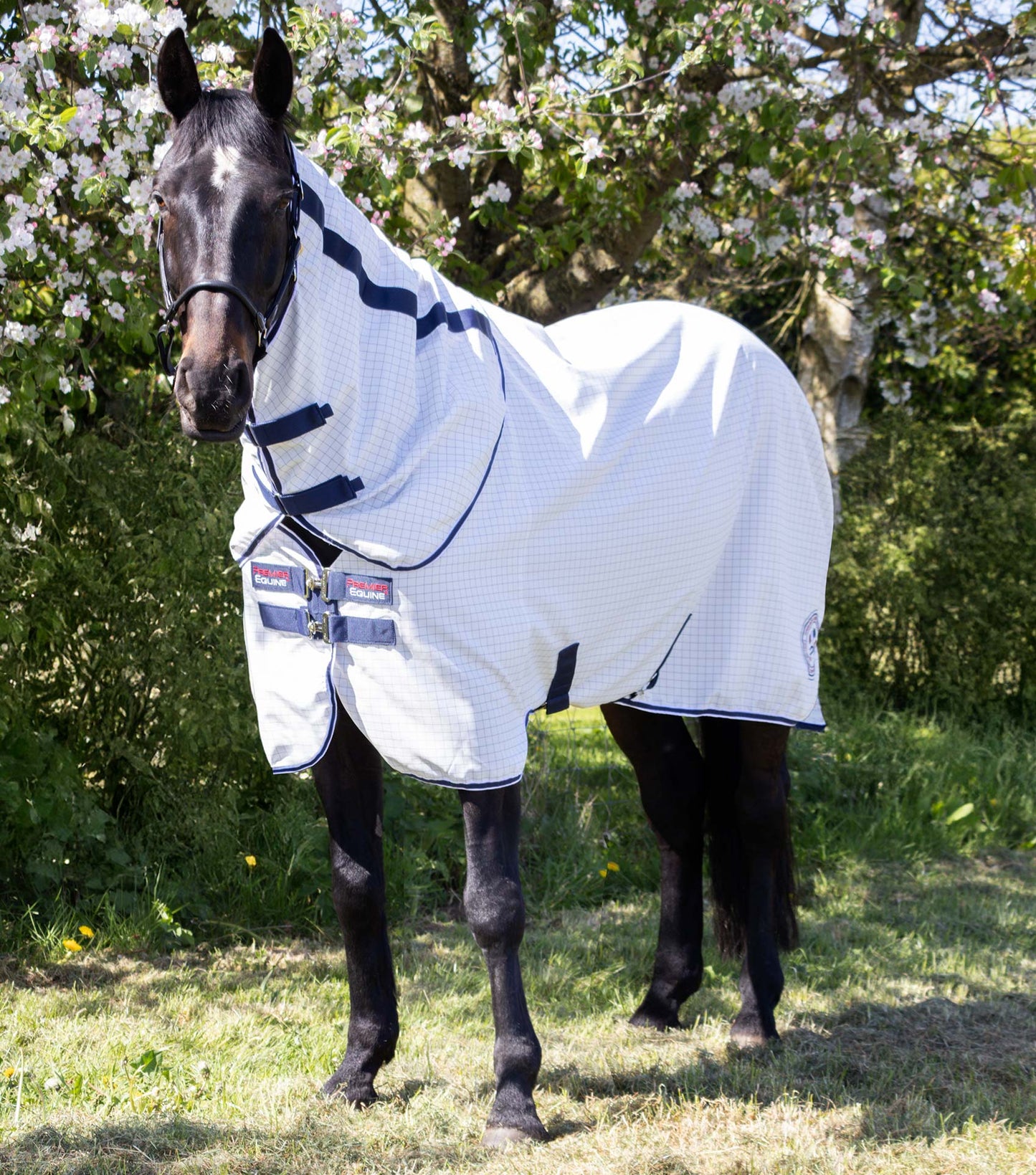Premier Equine Cotone Stable Sheet with Neck Cover