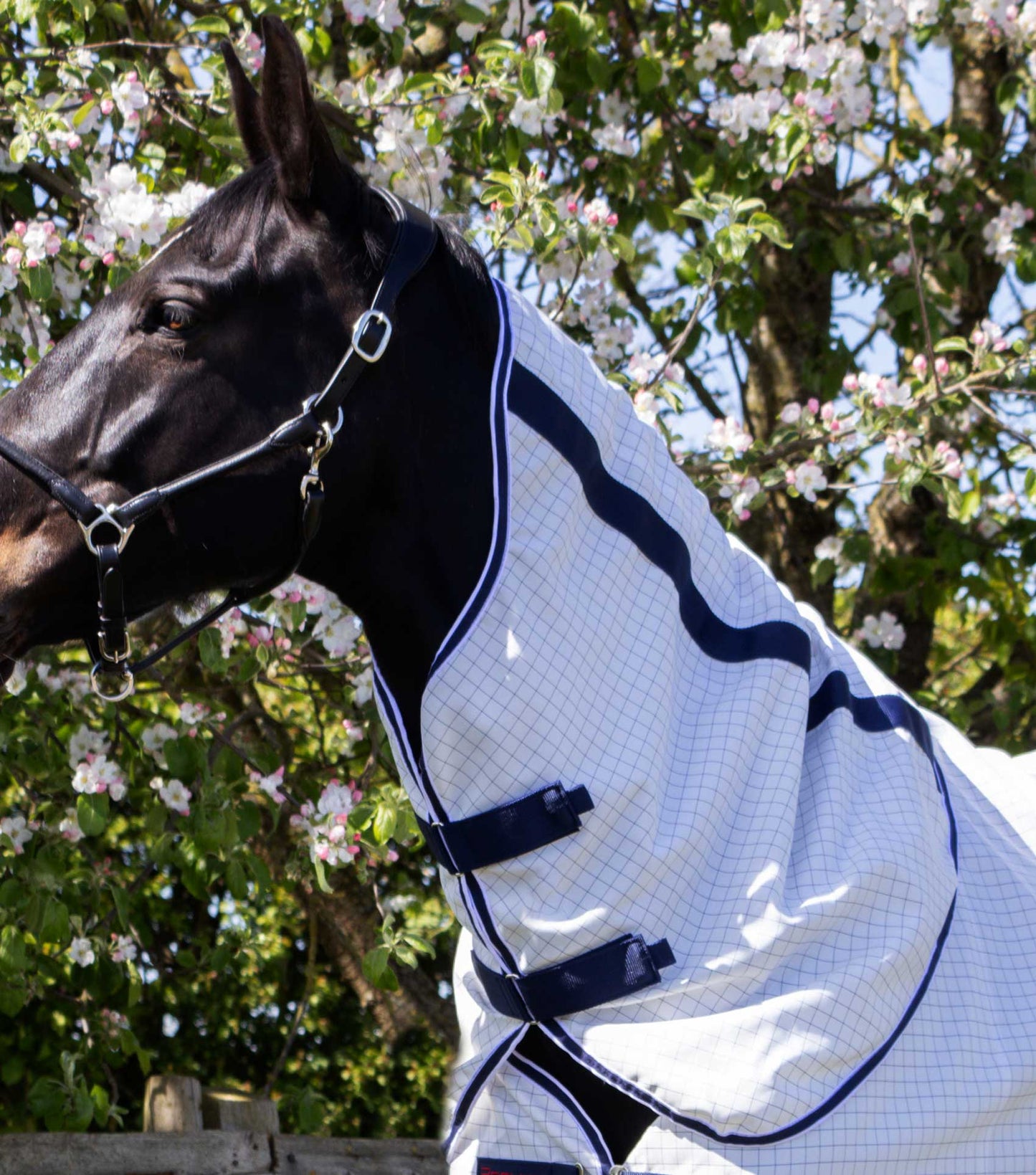 Premier Equine Cotone Stable Sheet with Neck Cover
