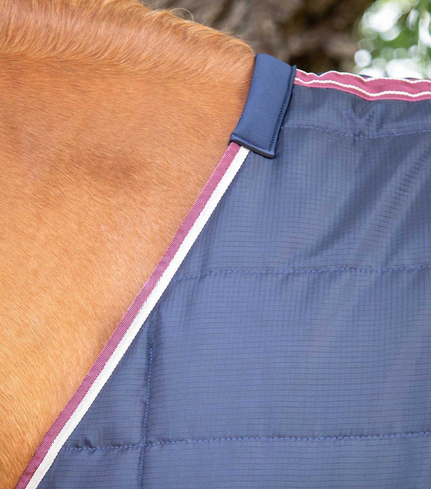Premier Equine Garissa Stable Rug 100g