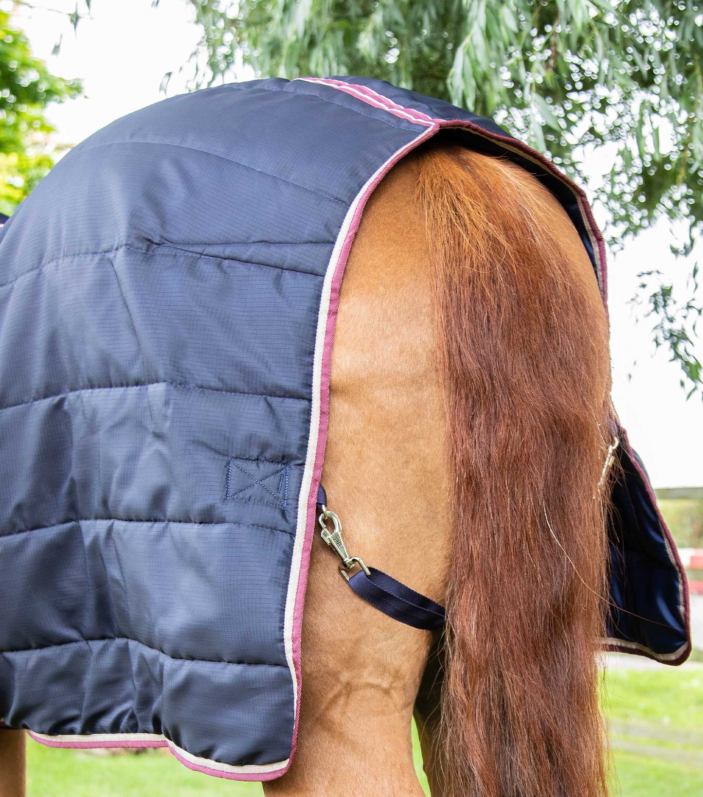 Premier Equine Garissa Stable Rug 100g