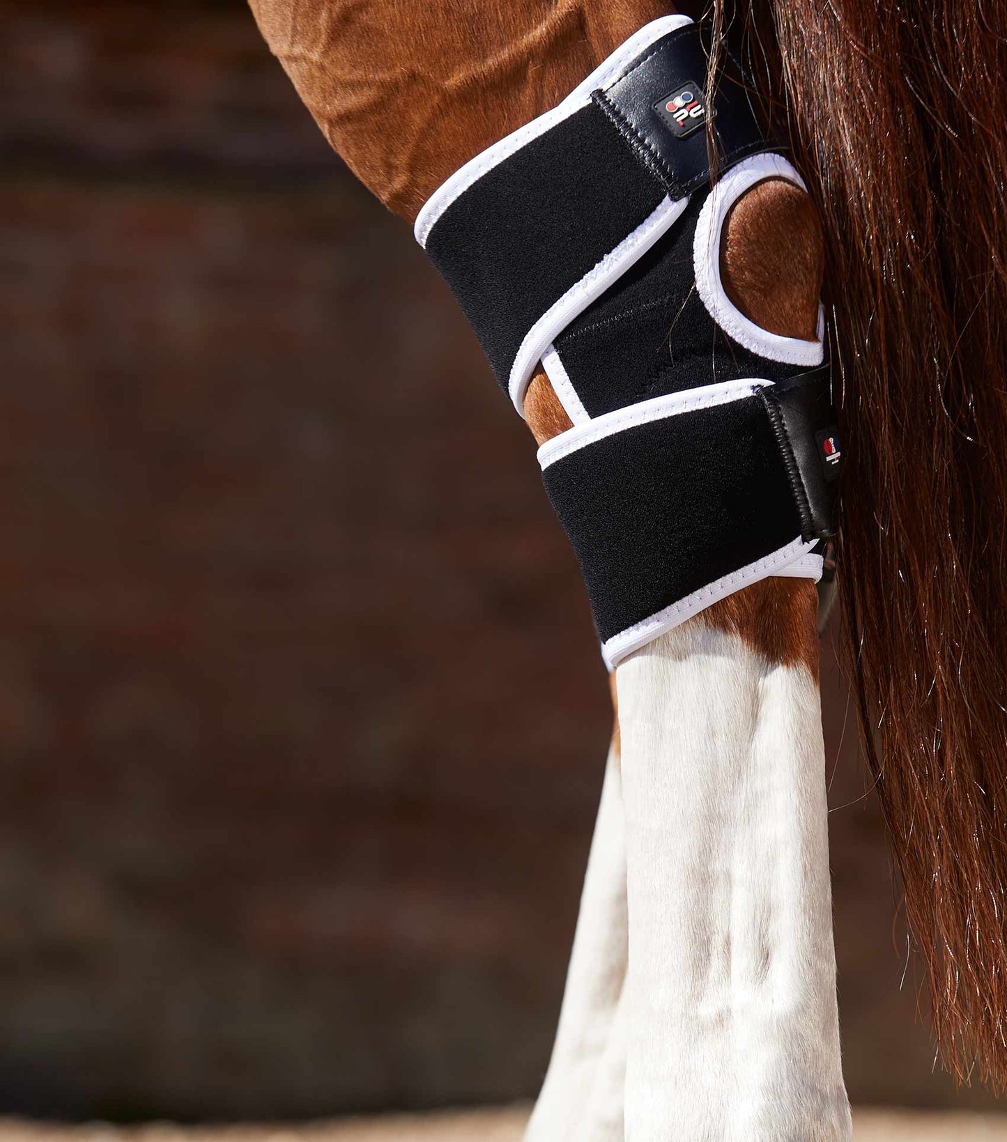 Premier Equine Magni-Teque Magnetic Hock Boots