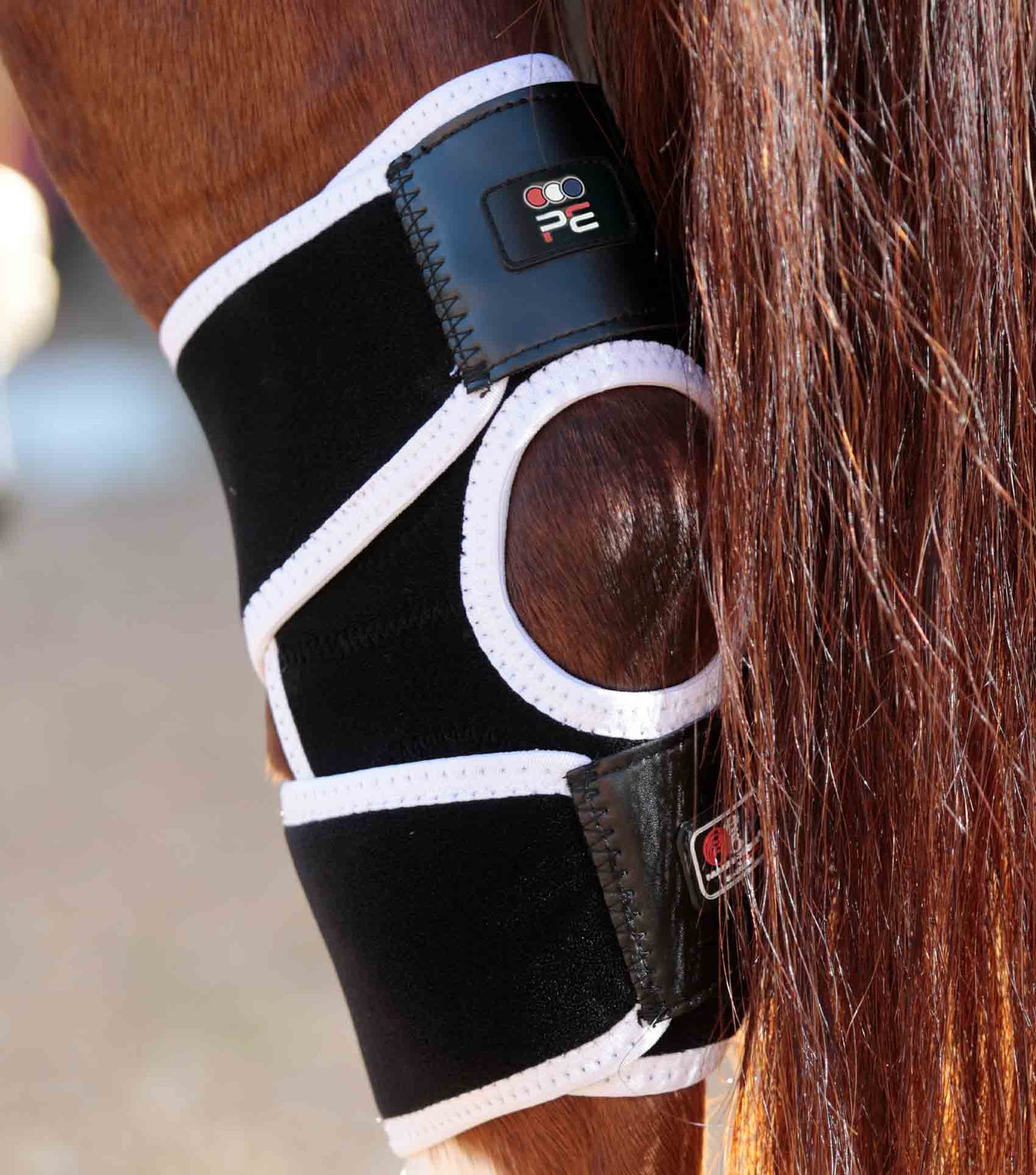 Premier Equine Magni-Teque Magnetic Hock Boots