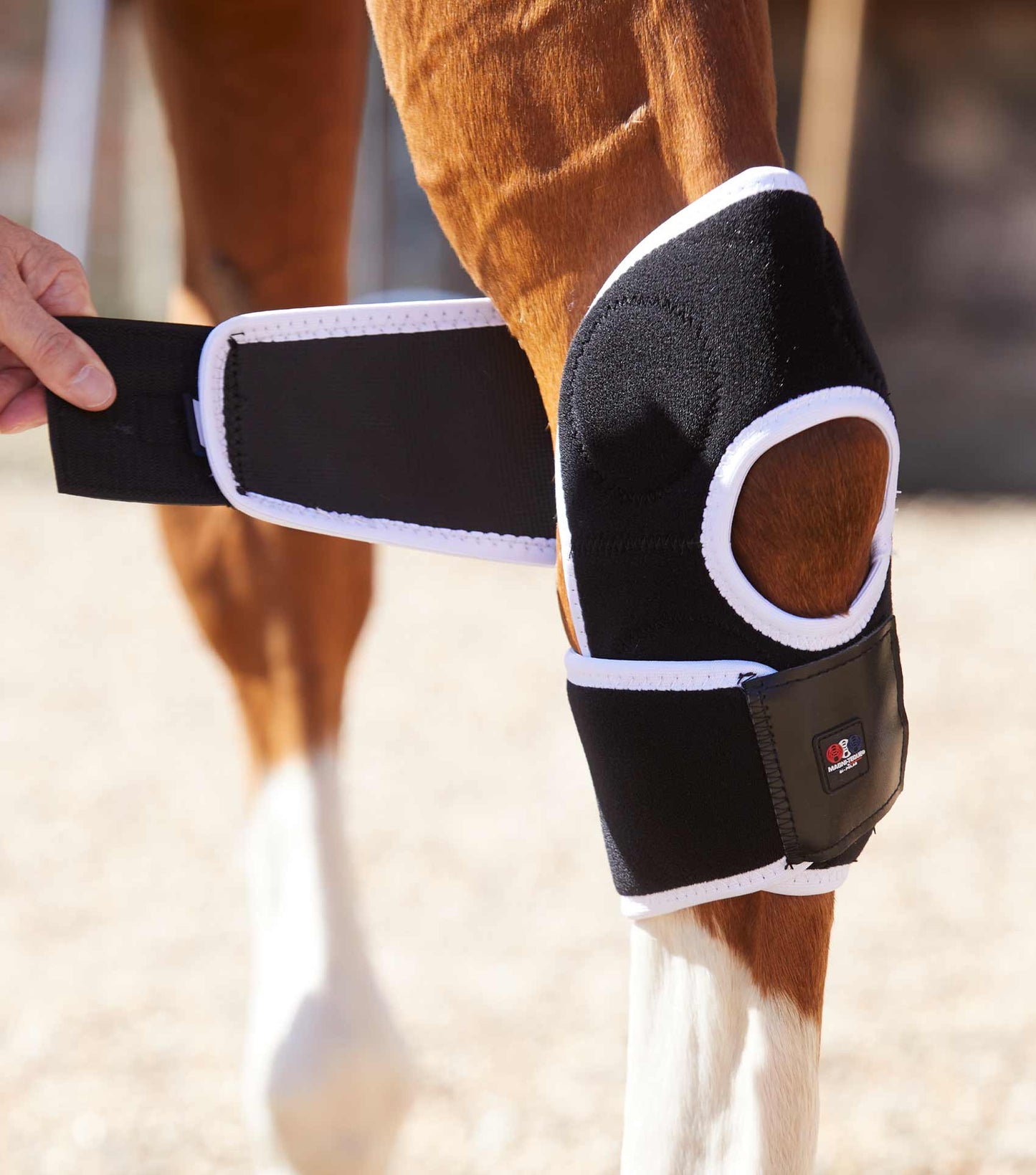 Premier Equine Magni-Teque Magnetic Hock Boots