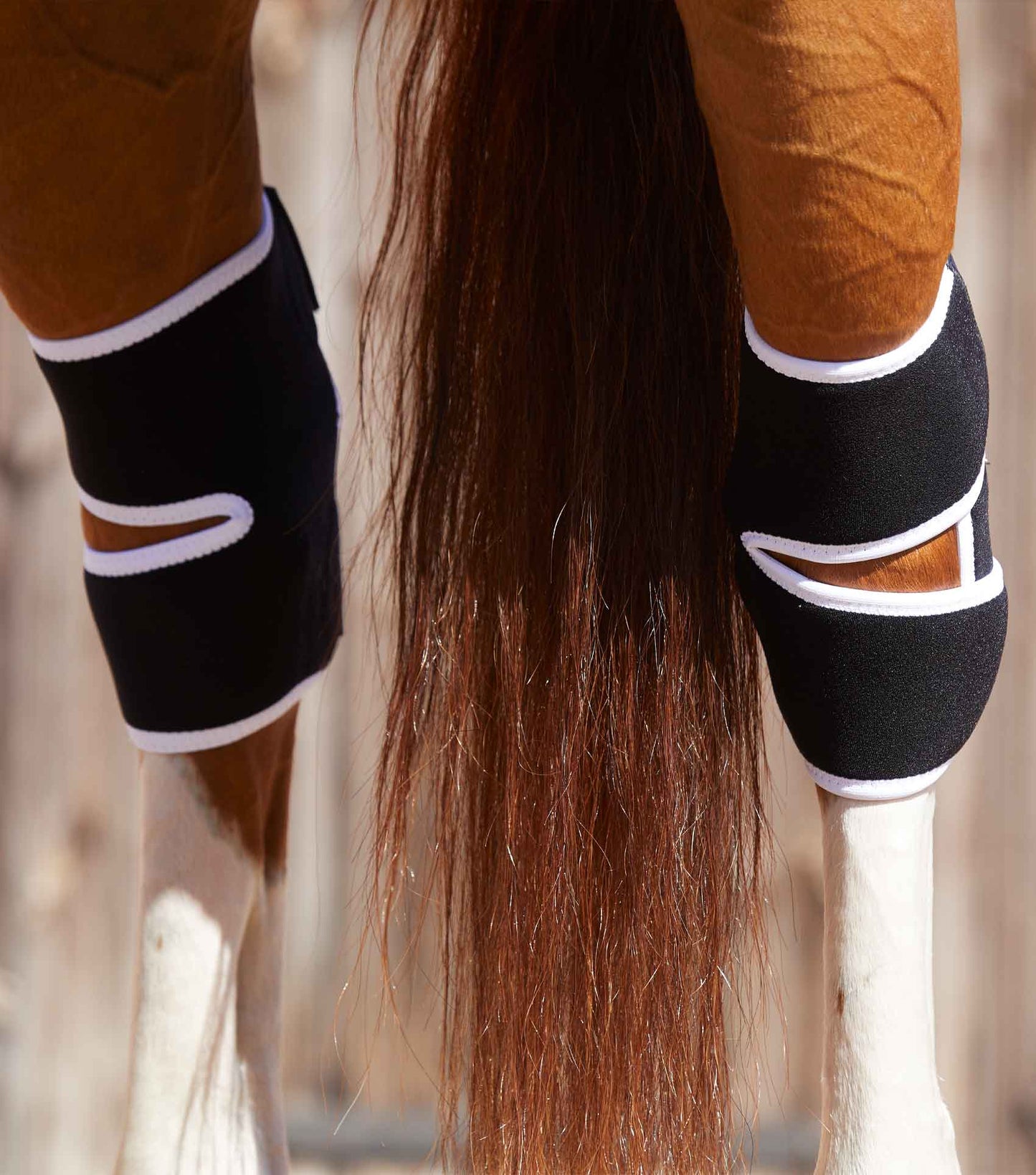 Premier Equine Magni-Teque Magnetic Hock Boots