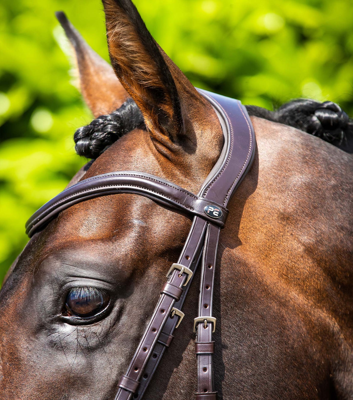 Premier Equine Verdura Anatomic Snaffle Bridle