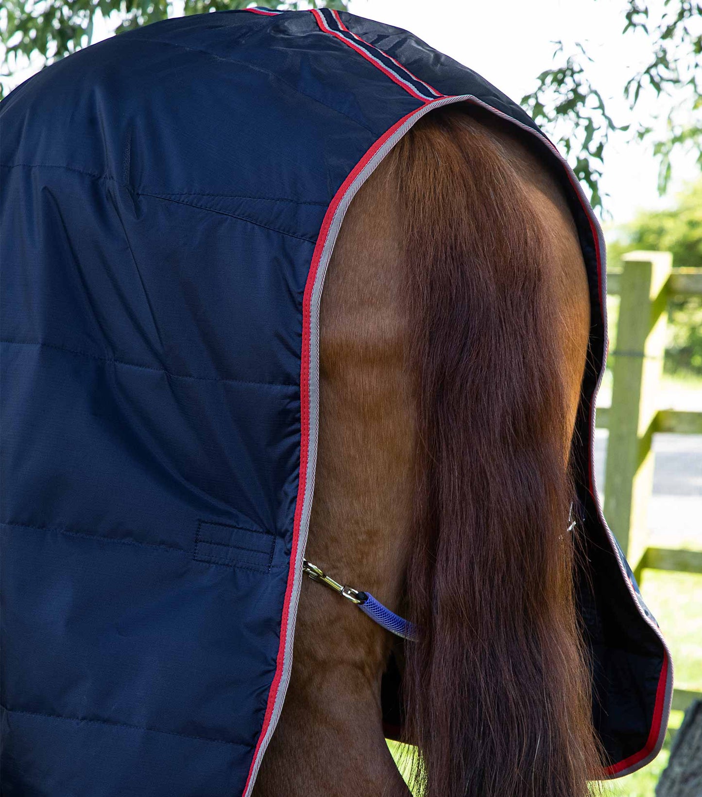 Premier Equine Stable Buster Lite 100g