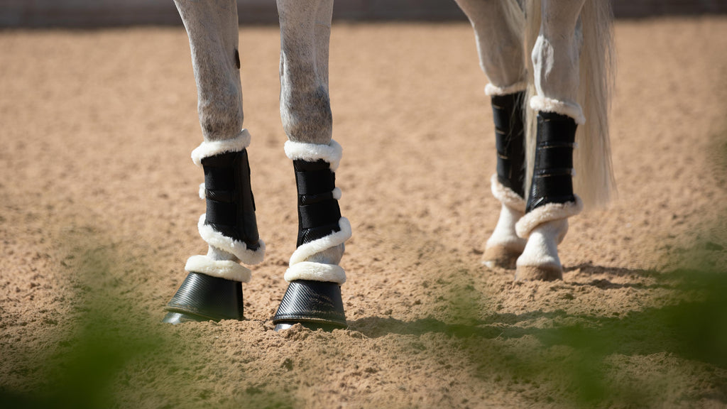 Premier Equine Techno Wool Brushing Boots