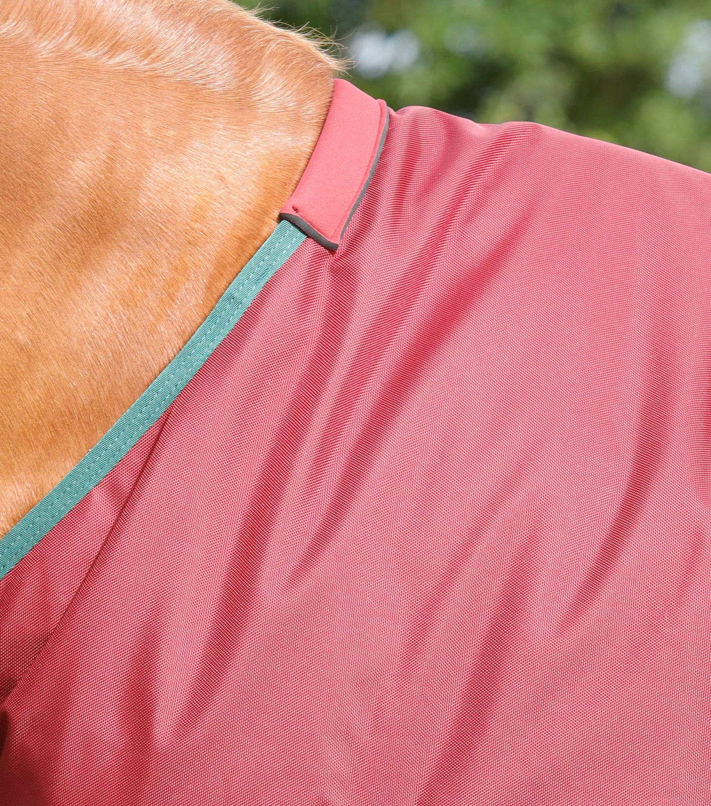 Premier Equine Titan 100g Original Turnout Rug