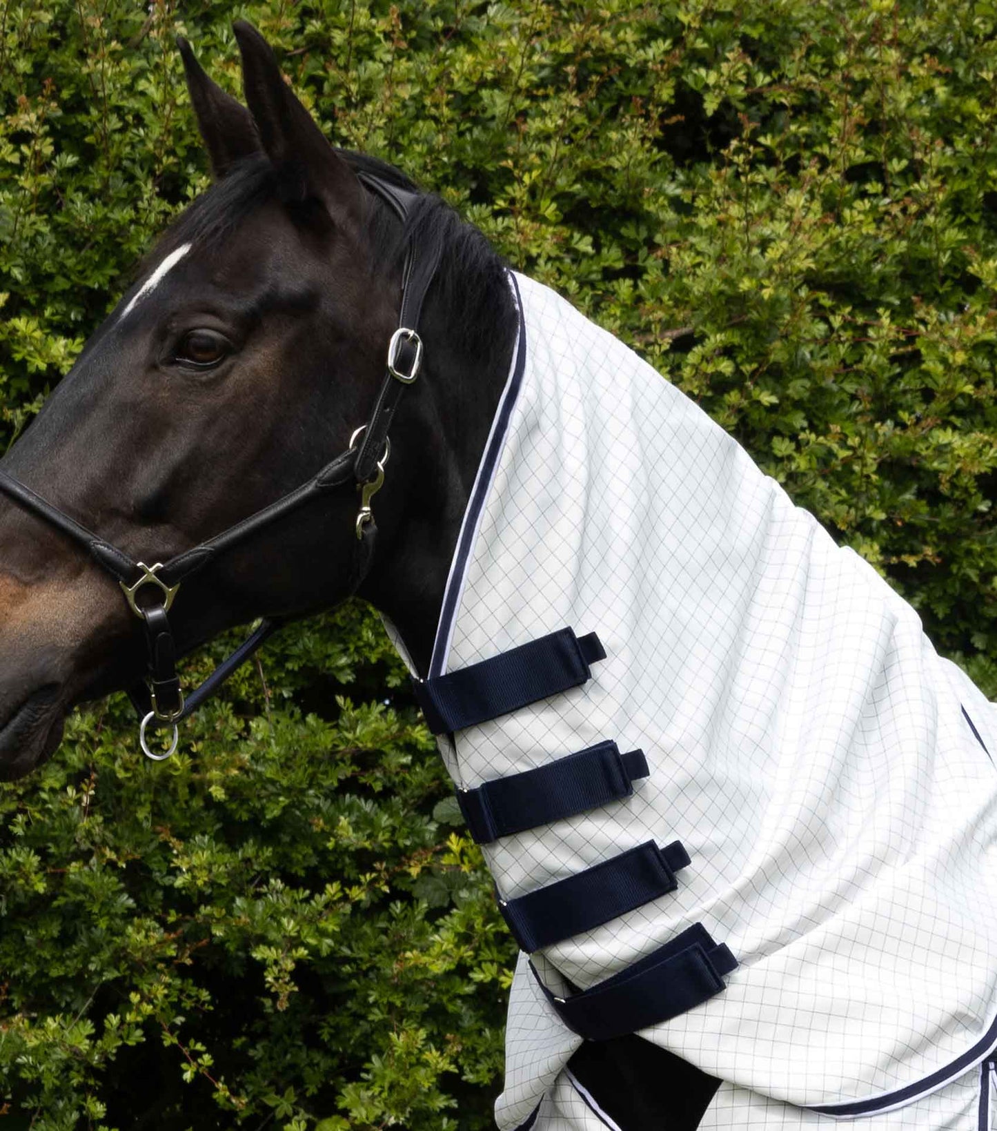 Premier Equine Cotone Combo Stable Sheet