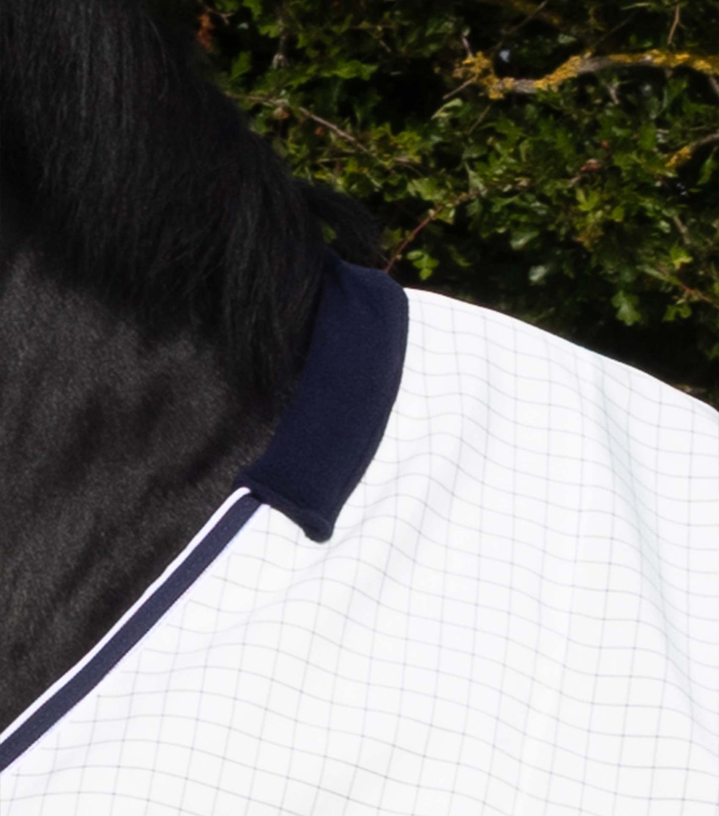 Premier Equine Cotone Original Stable Sheet