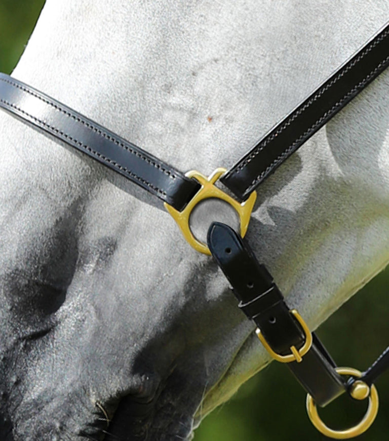 Premier Equine Pasco Plain Leather Head Collar