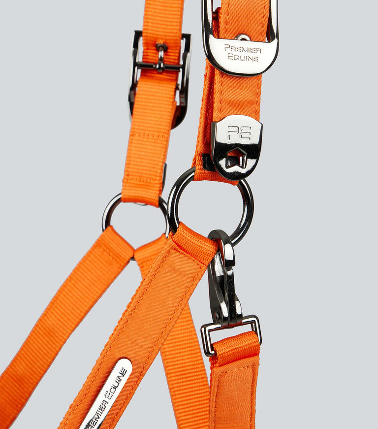Premier Equine Duco Padded Head Collar with Lead Rope