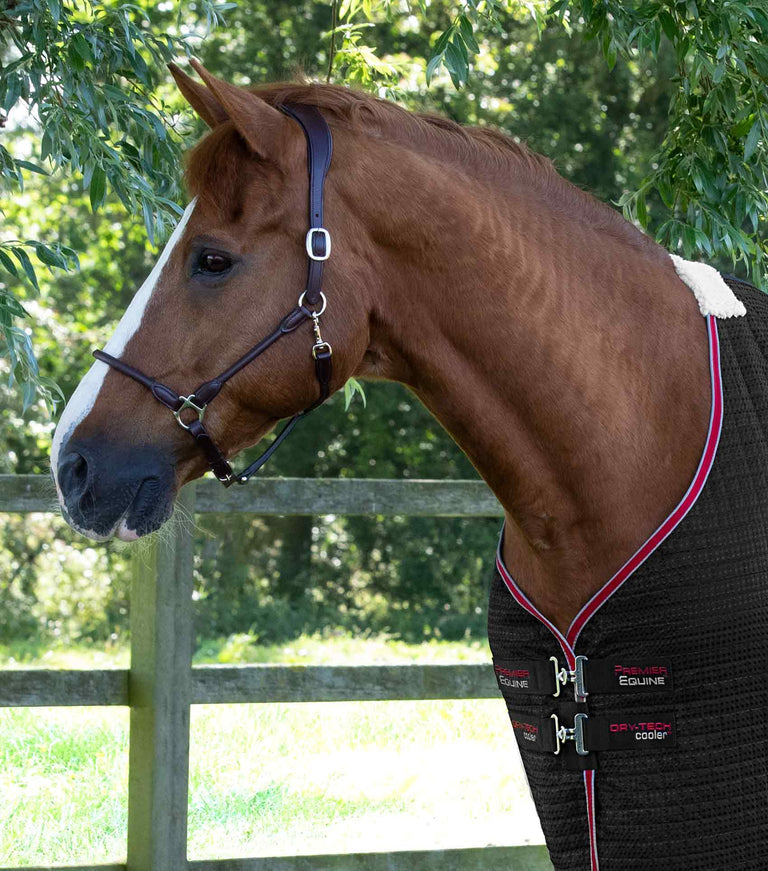 Premier Equine Dry-Tech Horse Cooler Rug