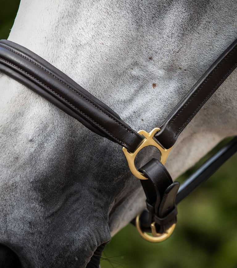 Premier Equine Rego Padded Leather Head Collar