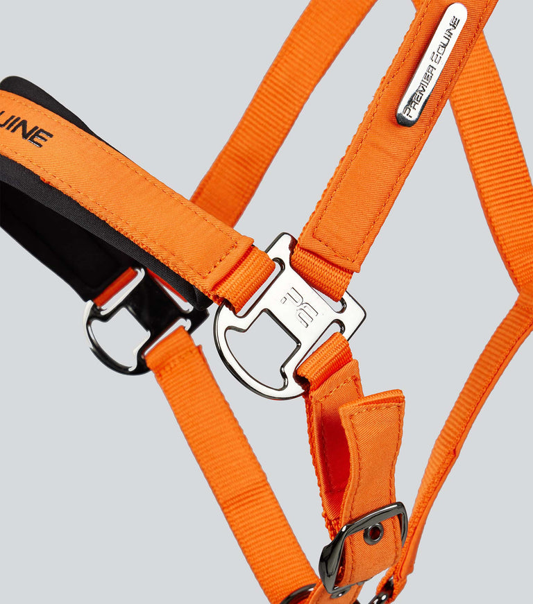 Premier Equine Duco Padded Head Collar with Lead Rope