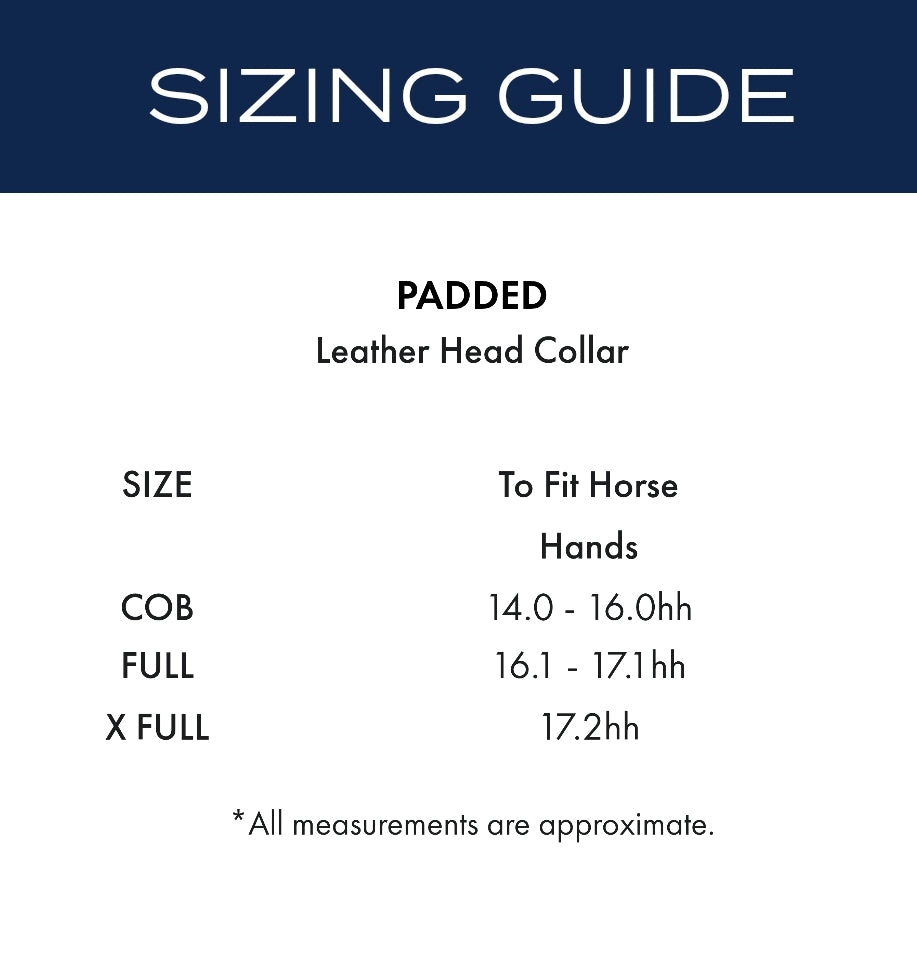 Premier Equine Rego Padded Leather Head Collar