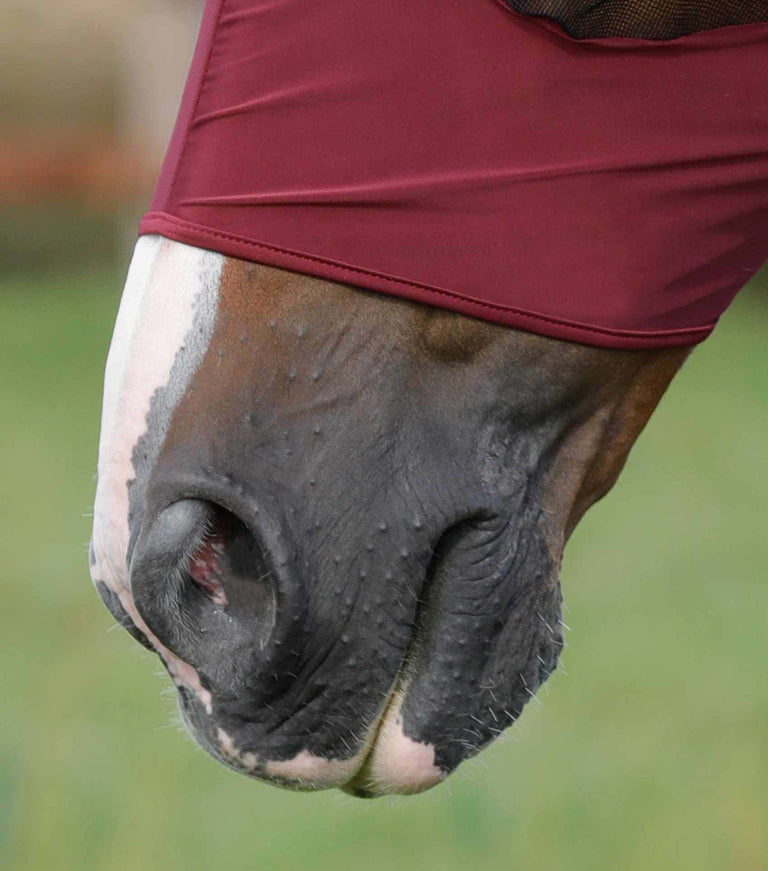 Premier Equine Comfort Tech Lycra Fly Mask