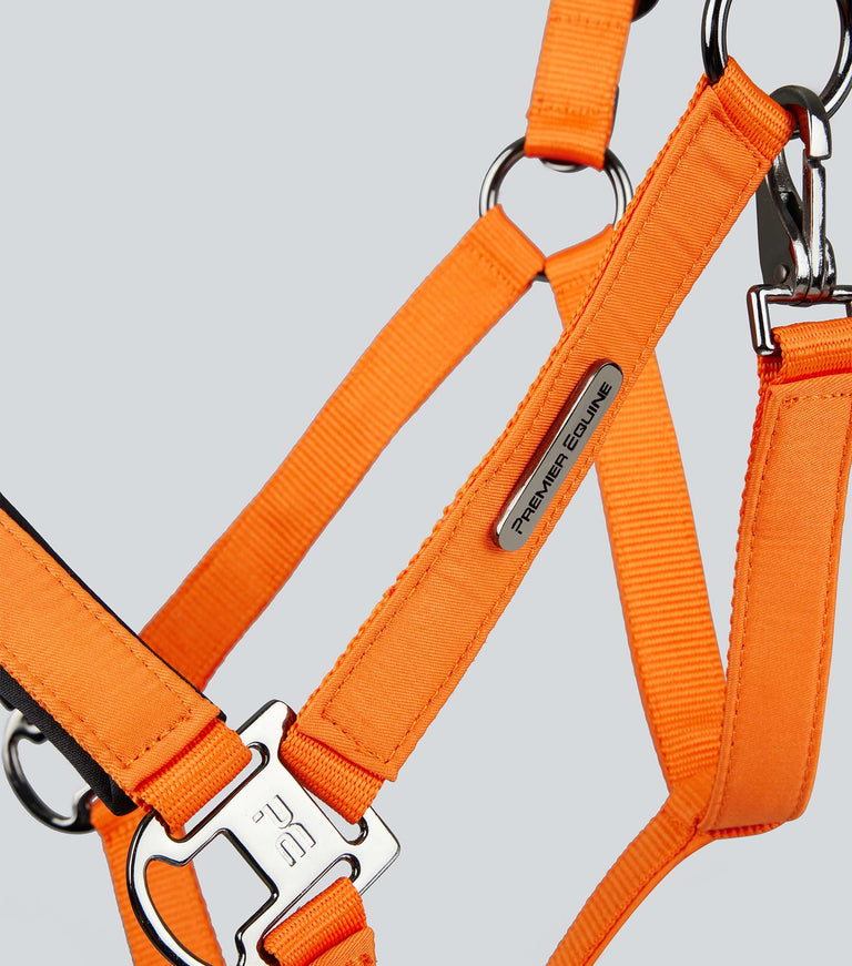 Premier Equine Duco Padded Head Collar with Lead Rope