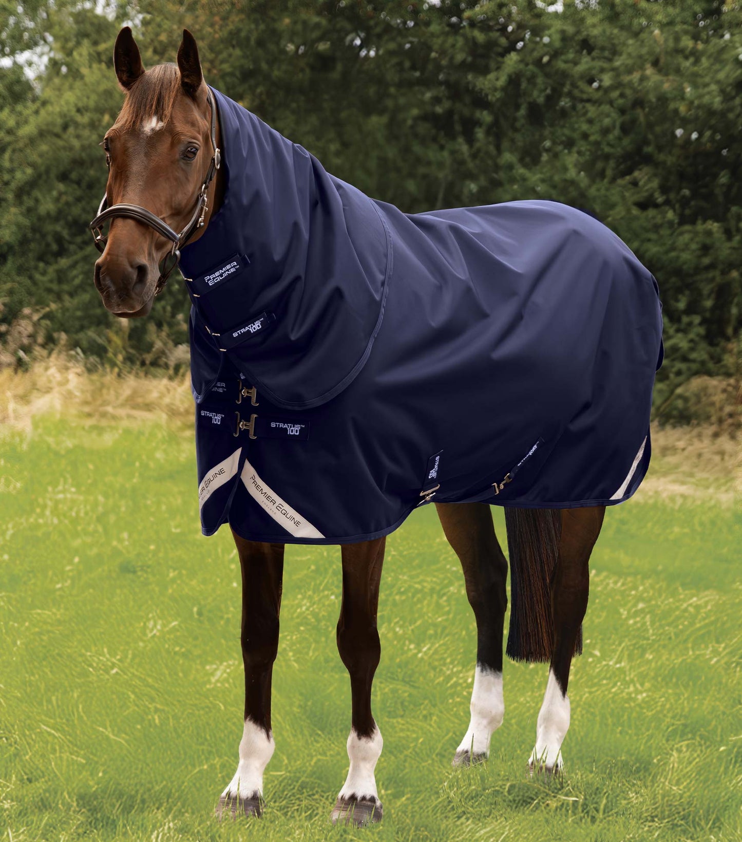 Premier Equine Stratus 1200 Series 100g Turnout Rug with Classic Neck Cover