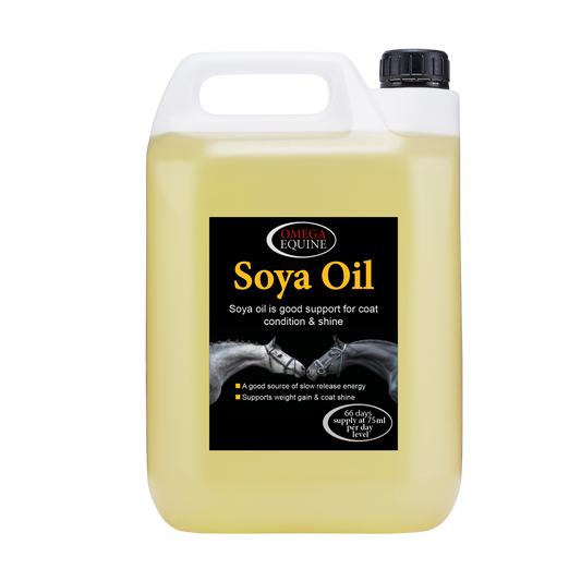 Omega Equine Soya Oil