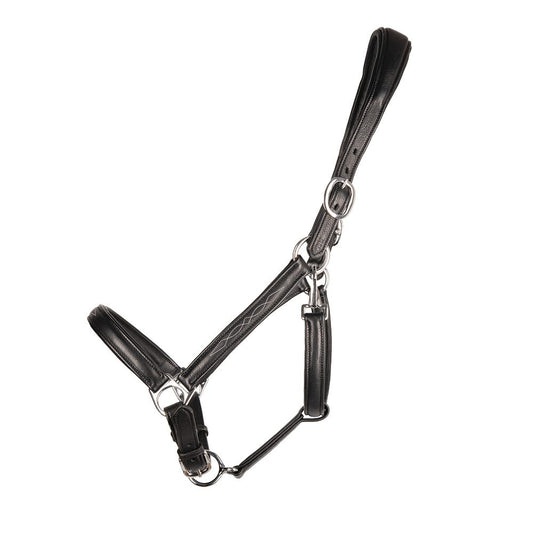 ProPresicce Softy Leather Head Collar by Hy Equestrian