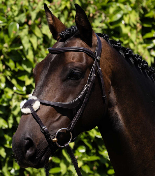 Premier Equine Glorioso Grackle Bridle