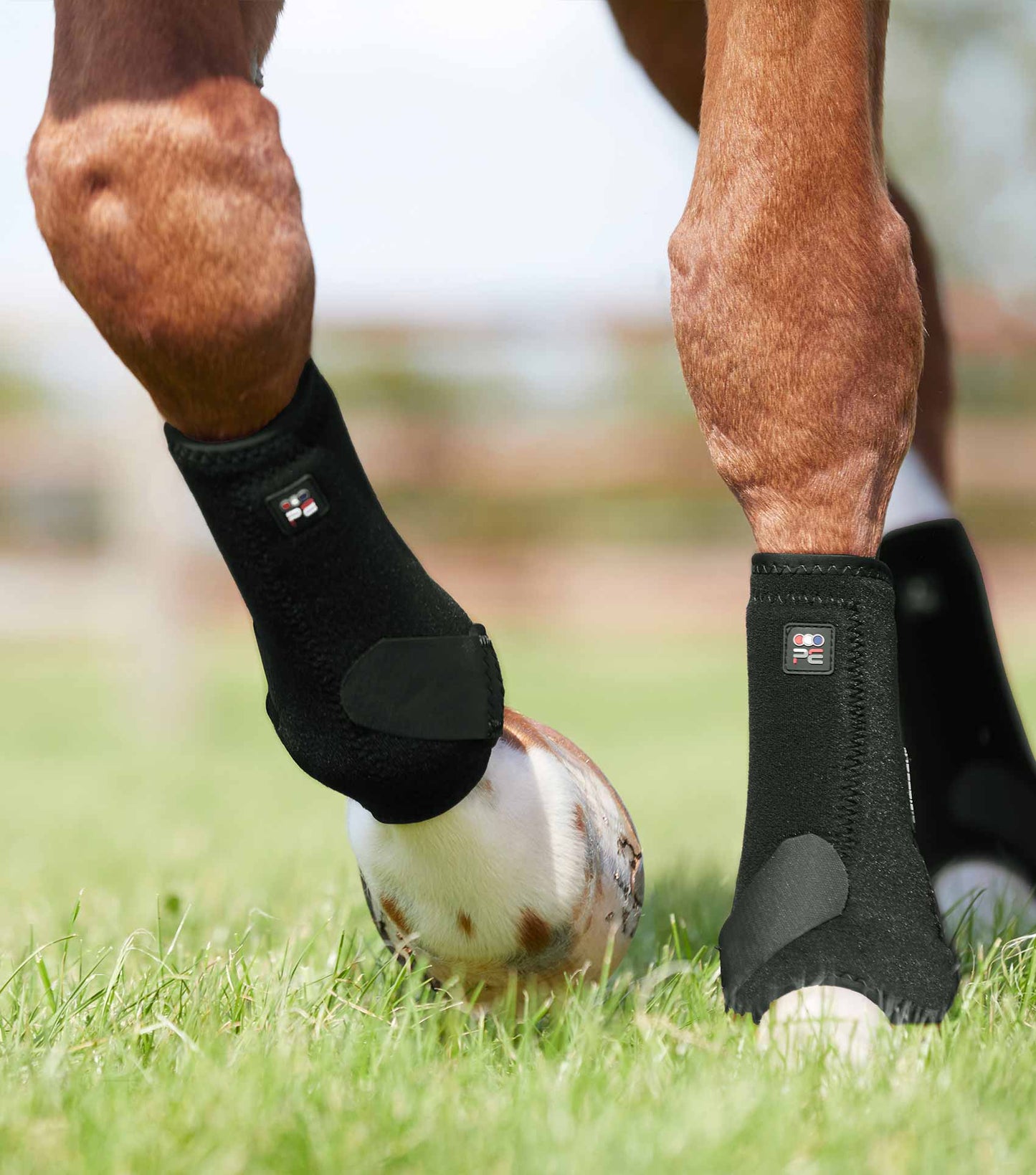 Premier Equine Air-Tech Sports Medicine Boots