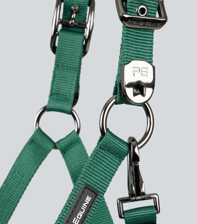 Premier Equine Corda Padded Head Collar with Lead Rope