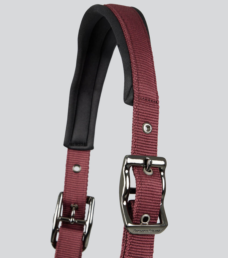 Premier Equine Corda Padded Head Collar with Lead Rope