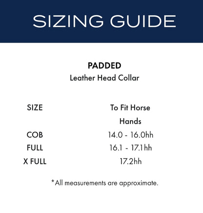 Premier Equine Rego Padded Leather Head Collar