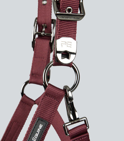 Premier Equine Corda Padded Head Collar with Lead Rope