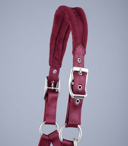 Premier Equine Fleece Padded Head Collar